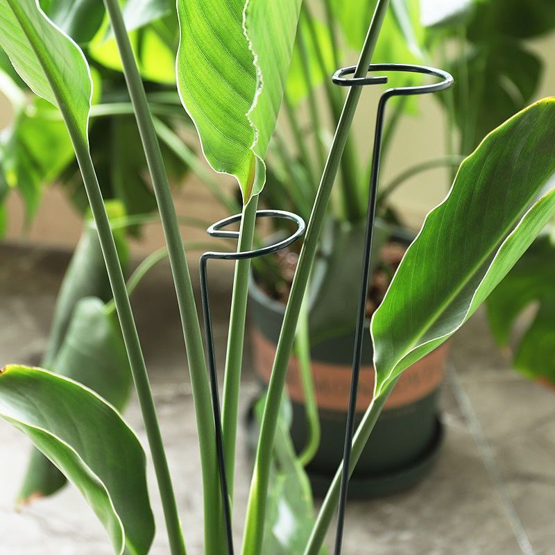 1/10pcs Garden Support Stake R - огляд і ціна Gardening Tools Hoe