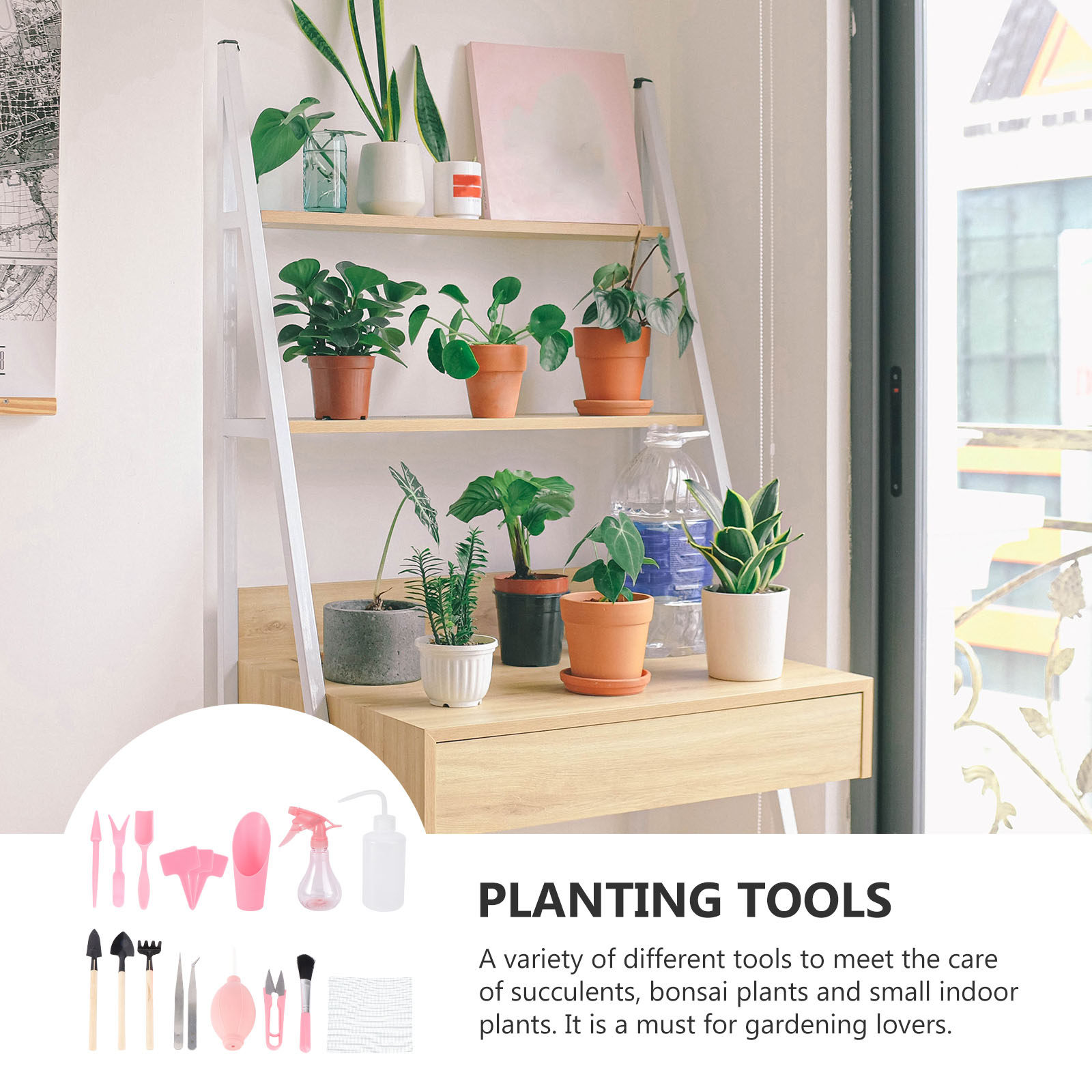 1Set Mini Succulent Planting T - огляд і ціна Gardening Tools Set