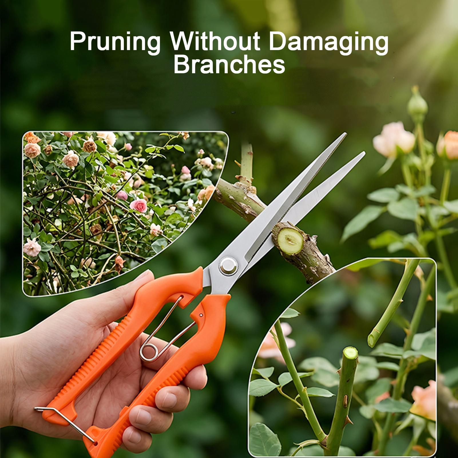 Pruning Shears Grape Scissors  - огляд і ціна Gardening Tools For Beginners