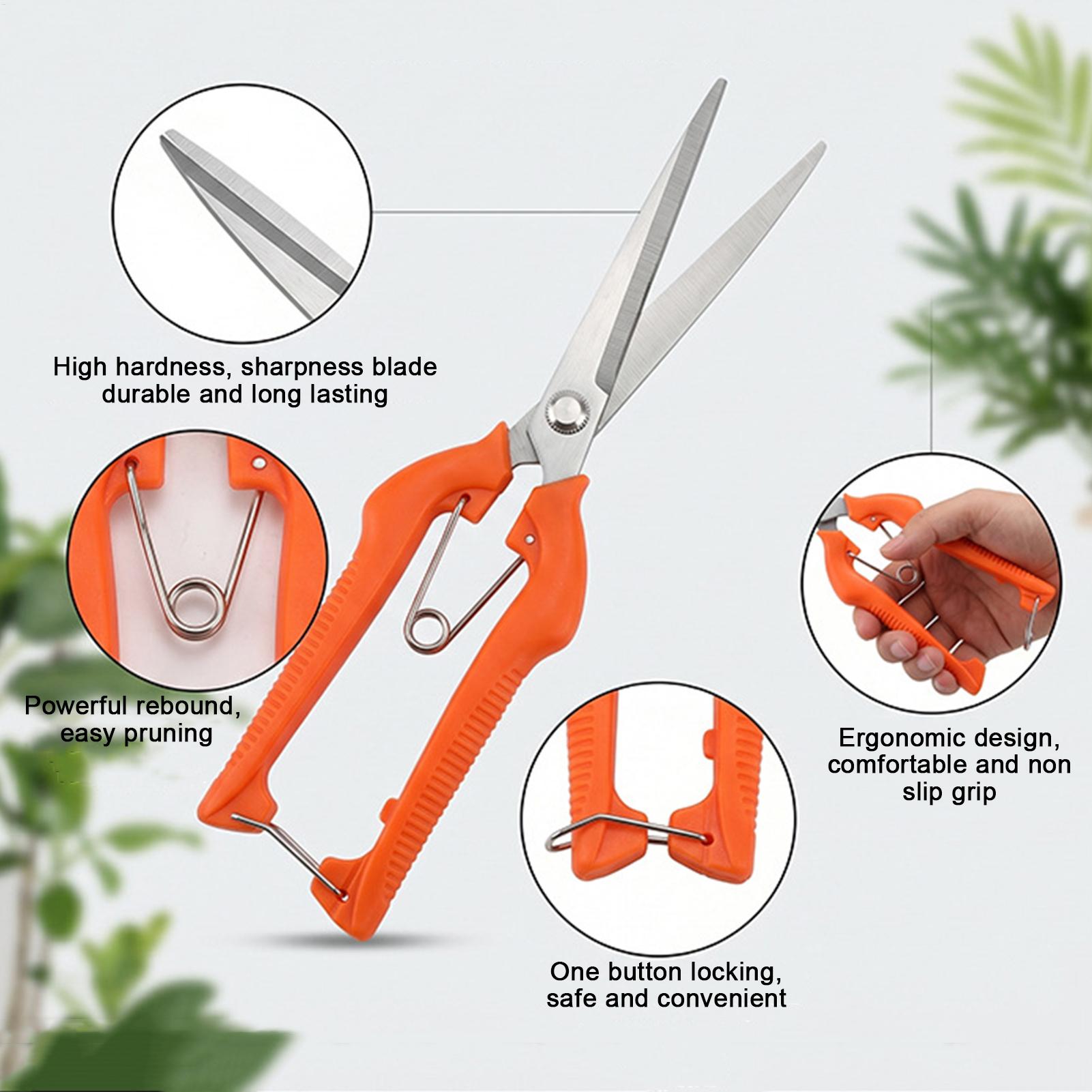 Pruning Shears Grape Scissors  - огляд і ціна Gardening Tools For Beginners