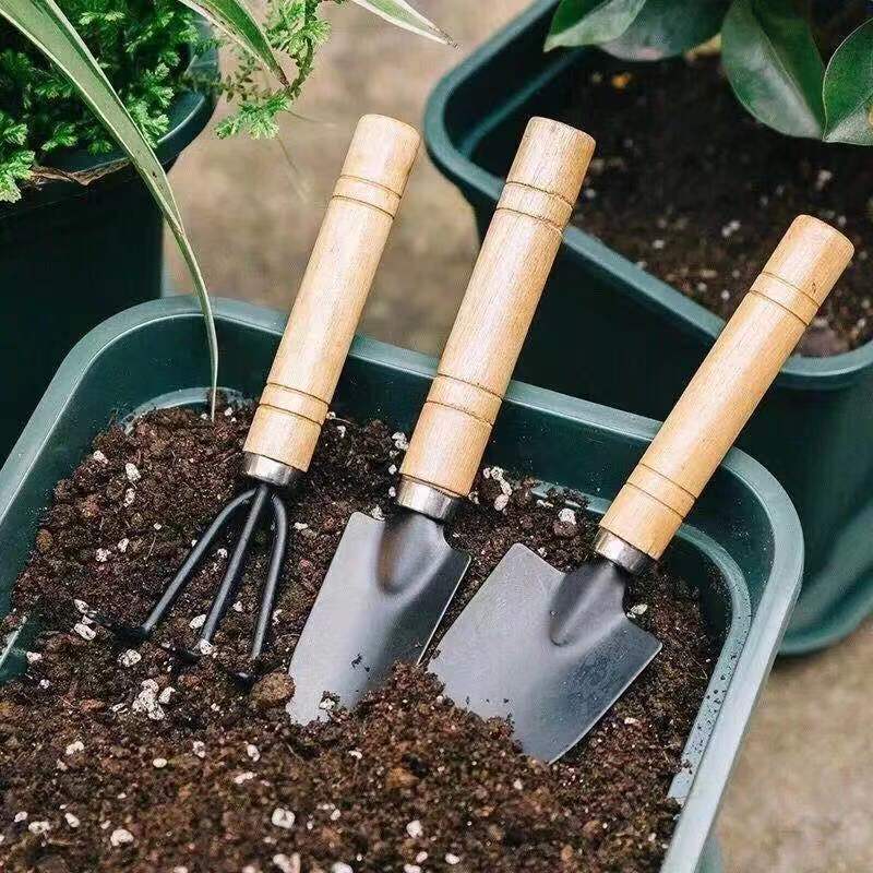 3Pcs Mini Gardening Tool Set w - огляд і ціна Gardening Tools Set