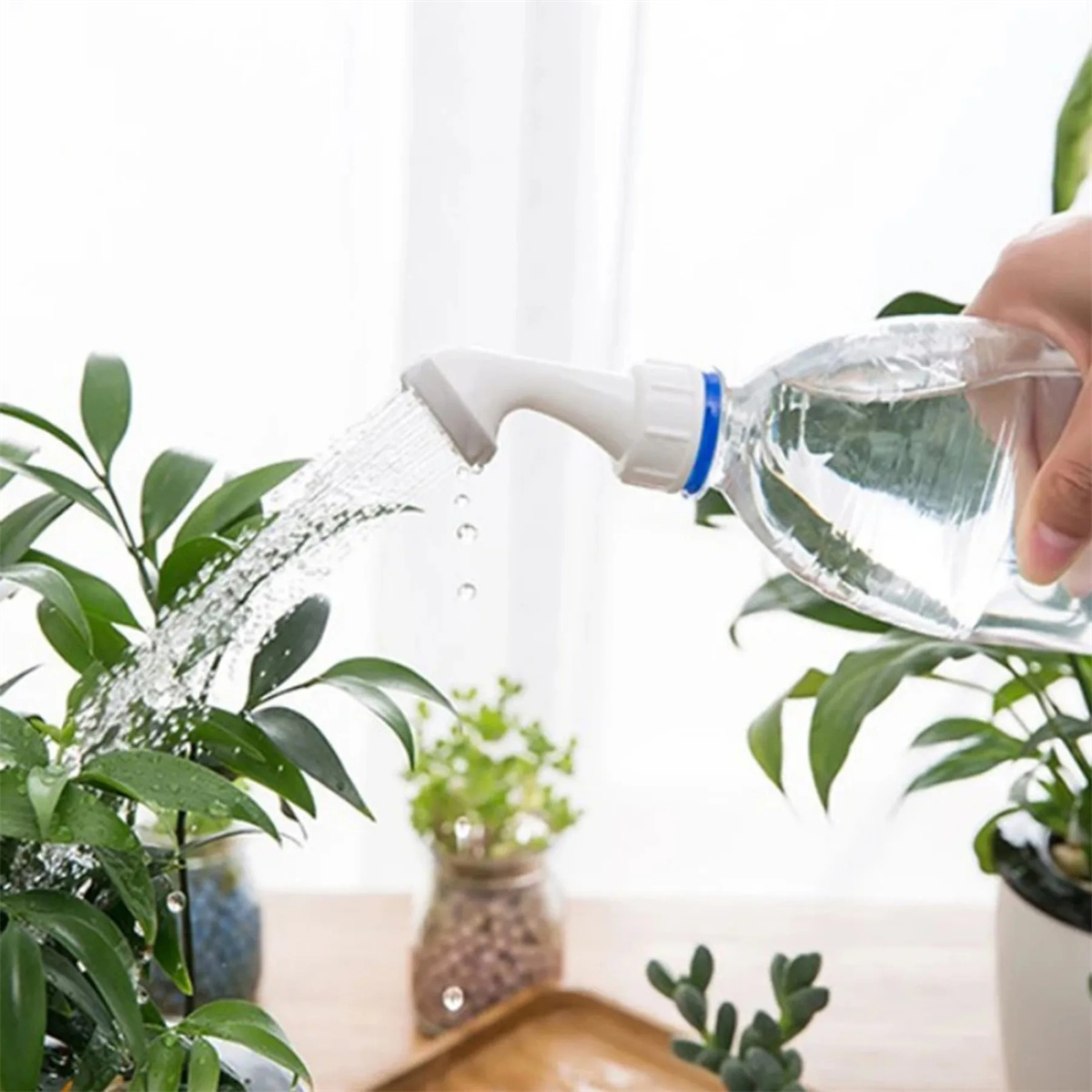 1/10pcs Bottle Cap Sprinkler W - огляд і ціна Gardening Tools For Beginners