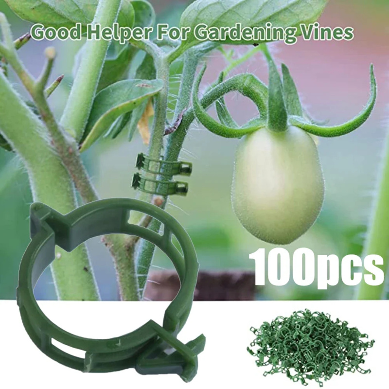 100 PCS/ Plant Support Clip Pl - огляд і ціна Gardening Tools Hoe