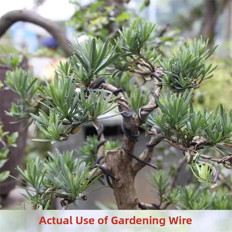 1.5MM Bonsai Wires Aluminum Bo - огляд і ціна Gardening Tools For Home