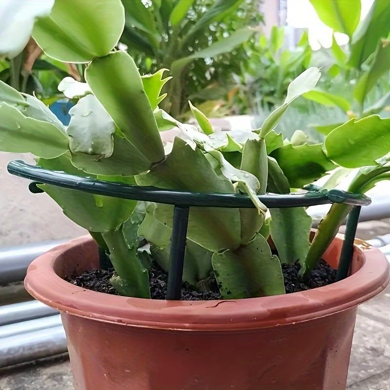 30-1PCS Plastic Plant Support  - огляд і ціна Gardening Tools Hoe
