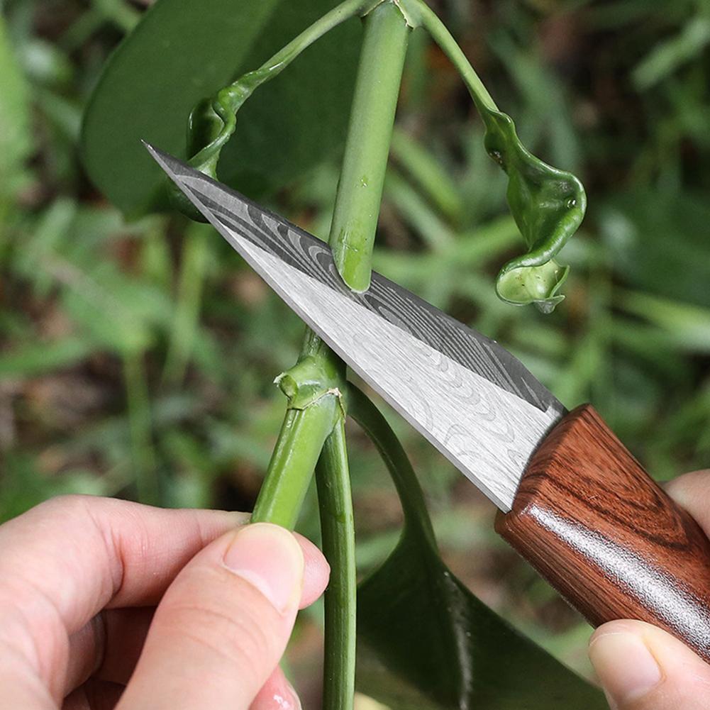 Sharp Grafting Knife with Wood - огляд і ціна Gardening Tools For Beginners